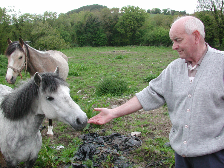 Tommy Bradfield at Killowen.jpg 486.5K